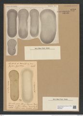 Coscinodiscus reniformis Castr. (de-Toni-Nr.: Genus 202, Species 5033) Zeichnungen Sammlung Grunow Nr. 8759 (NHMW-BOT-W0378349)